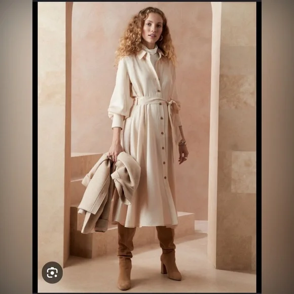 Banana Republic Factory | Dresses | Banana Republic Petite Belted Long  Sleeve Shirt Dress Tencel | Poshmark